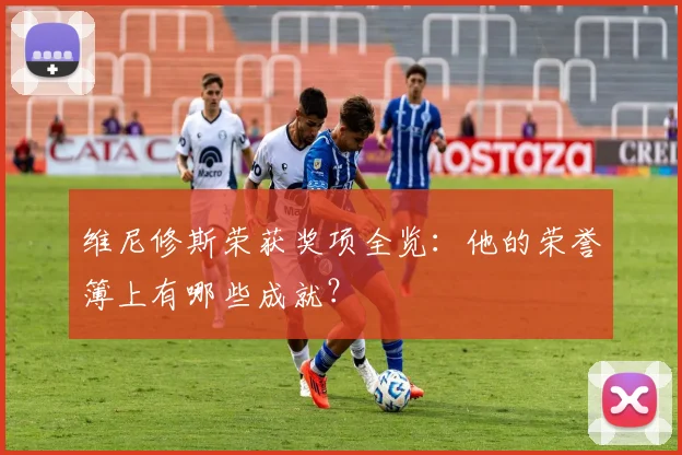 维尼修斯荣获奖项全览：他的荣誉簿上有哪些成就？