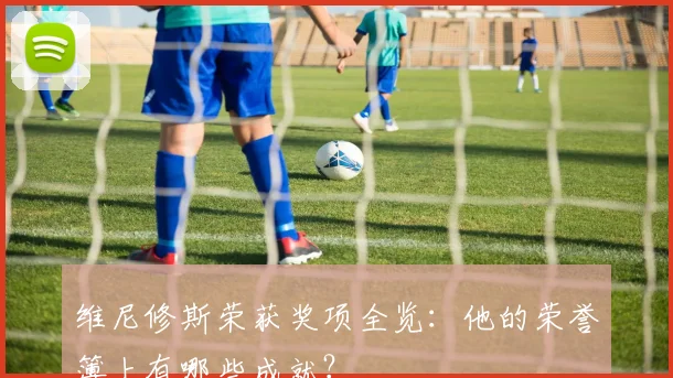 维尼修斯荣获奖项全览：他的荣誉簿上有哪些成就？